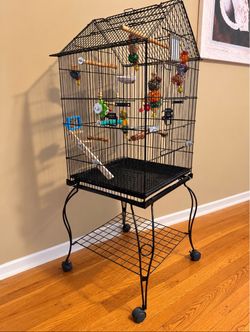Birds cage