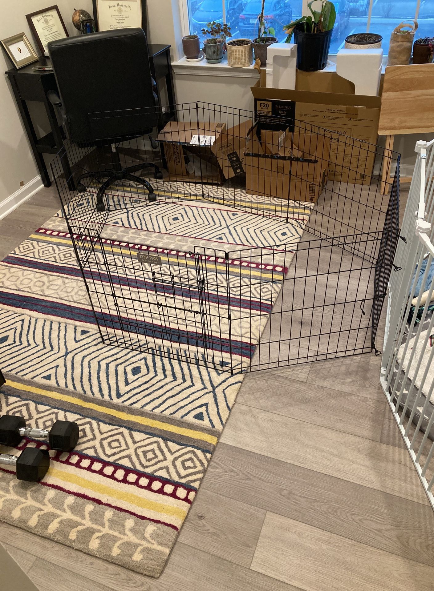 Dog pen
