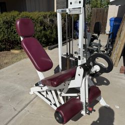 Flex Fitness Leg Extension 