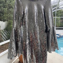 Silver Sequined Dress