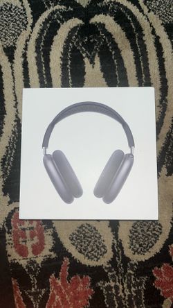 Apple AirPods Max Gray Over-Ear Bluetooth ANC Headphones w/ Smart Case