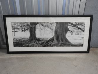Framed Fine Art Trees 44"x20"