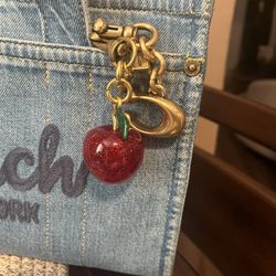 Pretty Red Apple Bag Charm 🍎 