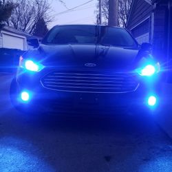LEDS