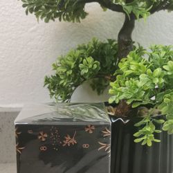 Mia Dolcezza Maison Alhambra 100ML for Women