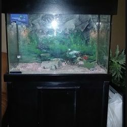 65 Gallon Aquarium Tank with Stand! 