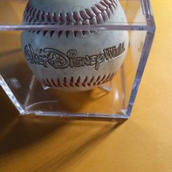 Walt Disney World Baseball 
