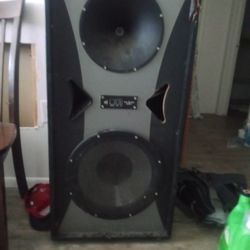 Pro Studio Mach II   15" speakers(set)