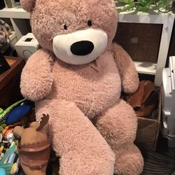 Big Teddy Bear 