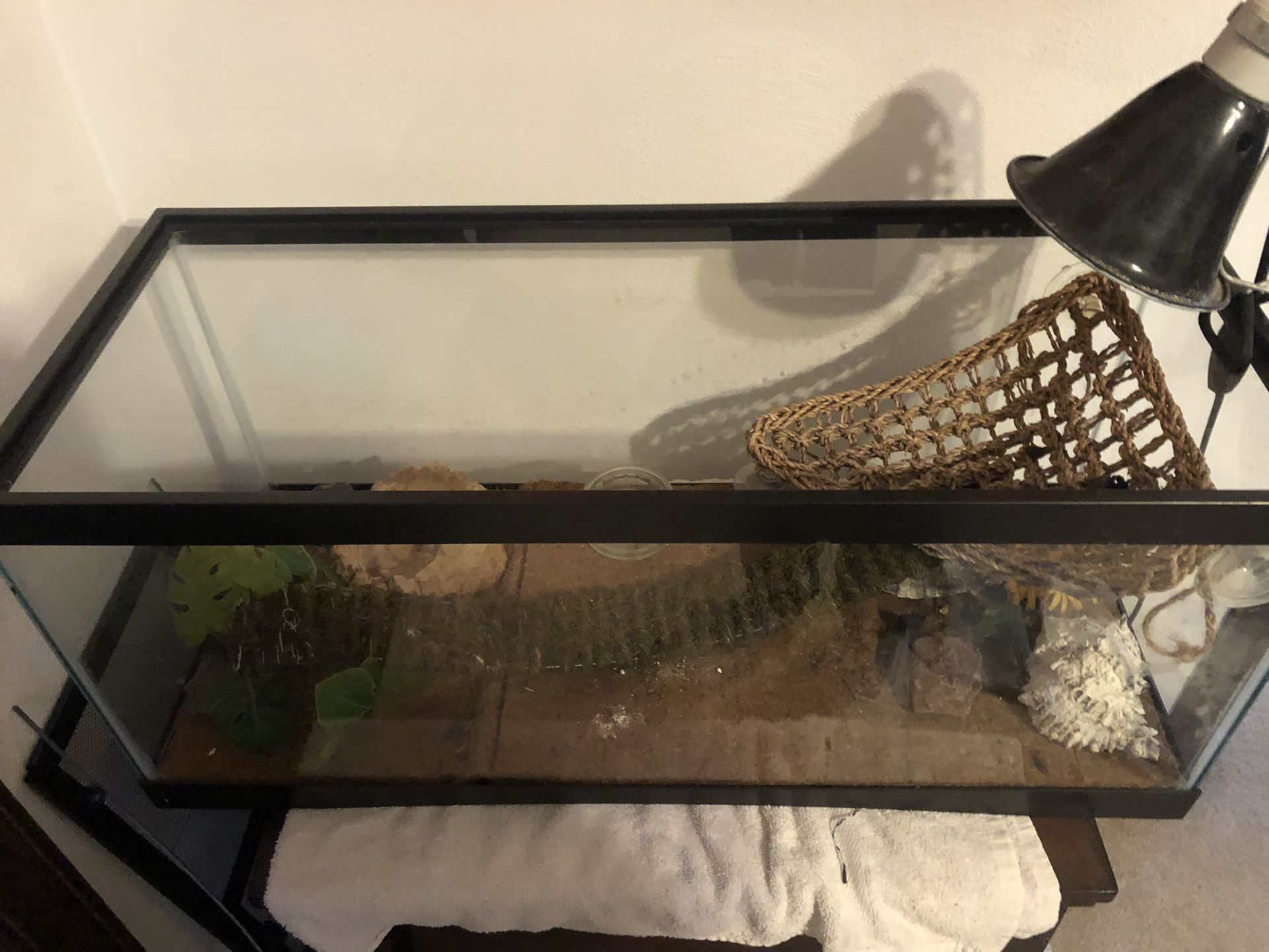 20 Gal Lizard/fish Tank Comes With Everything Inside It And Heating Lamp