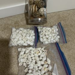 Decor And Shells Bundle