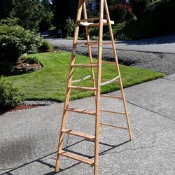 8 Foot Werner Wooden Ladder 