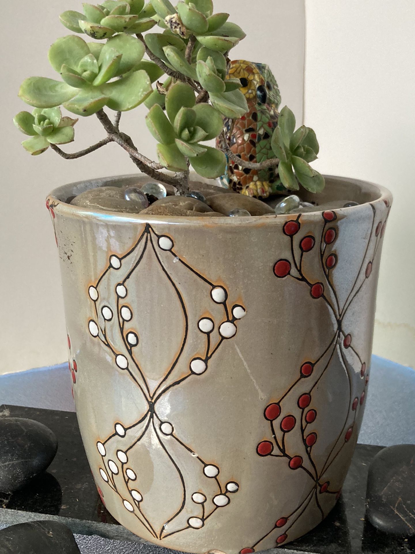 Succulent Cluster in A Ceramics Vase