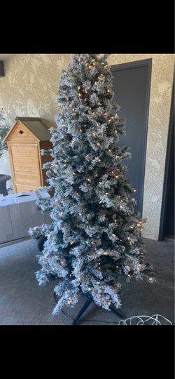 Pre lite tree frosted