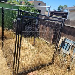 Kennel
