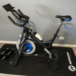 Horizon IC7.9 Indoor Cycle - OBO/delivery upon request