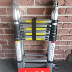 Portable Ladder 16'