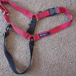 Easy Walk Harness L No Leash