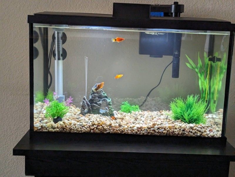 Fish/Reptile Tank Stand