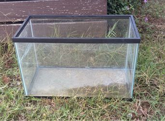 10gal Aquarium - Free!