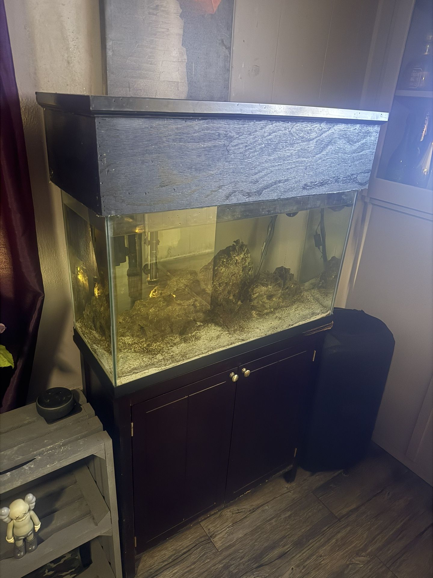 29 Gallon Saltwater Tank
