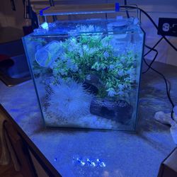 Fish Tank