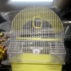 Bird Cage 