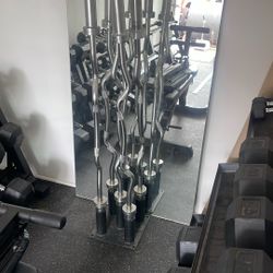 Olympic Ez Curl Bars