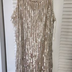 Trixxi Sequin Fringe Mini Dress 
