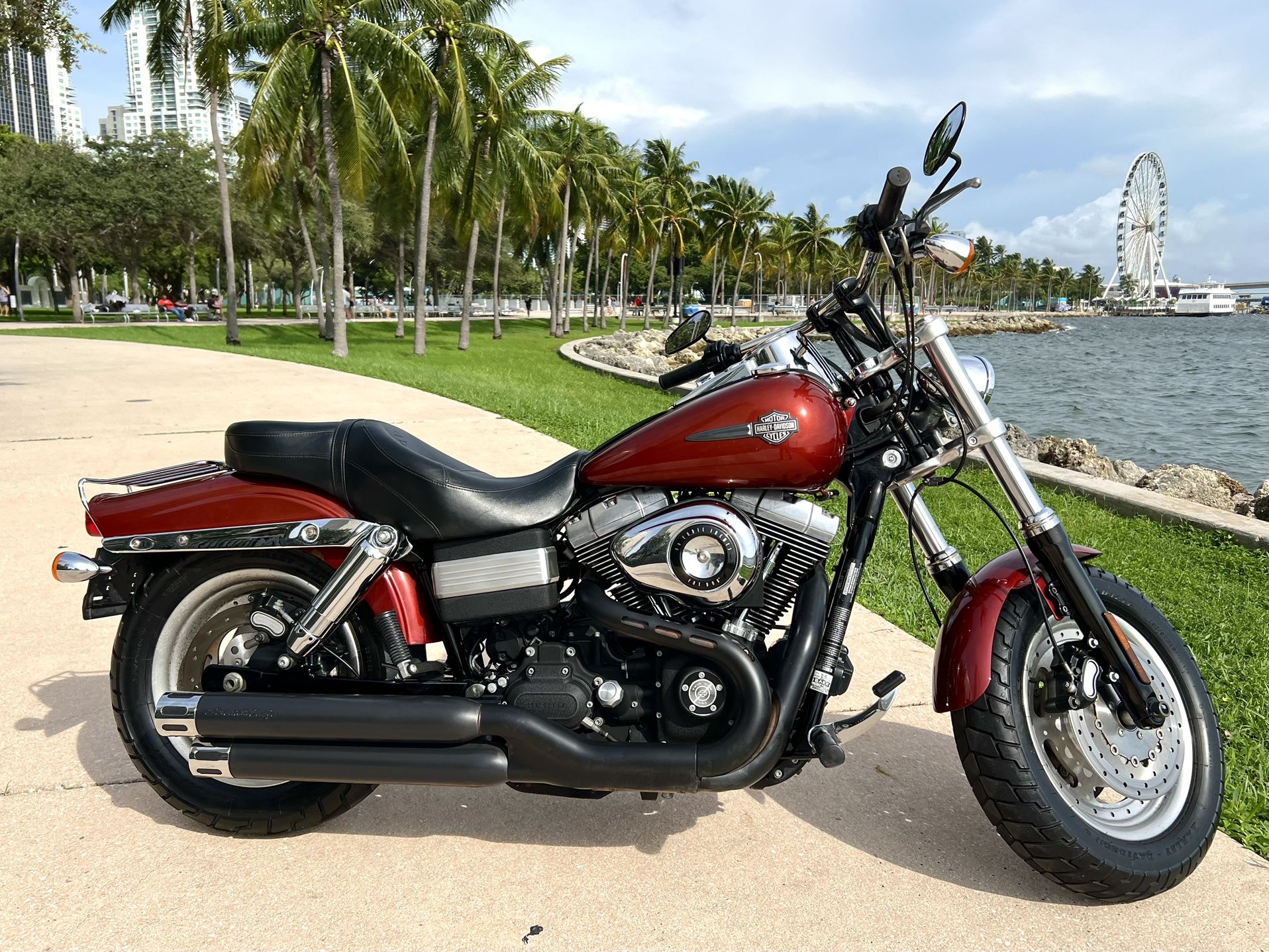 2009 Harley Davidson Dyna Fatbob