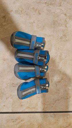 Small dog shoes