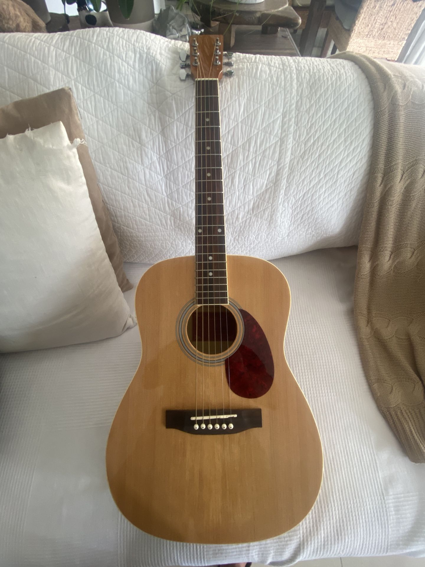 Spectrum acoustic guitar best sale