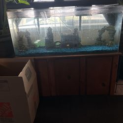 95 Gallon Tank 