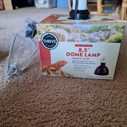 Reptile Supplies