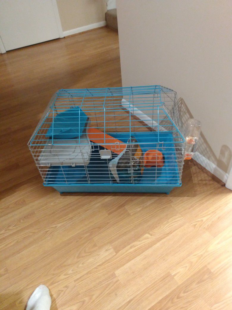 Guinea Pig Cage And Food