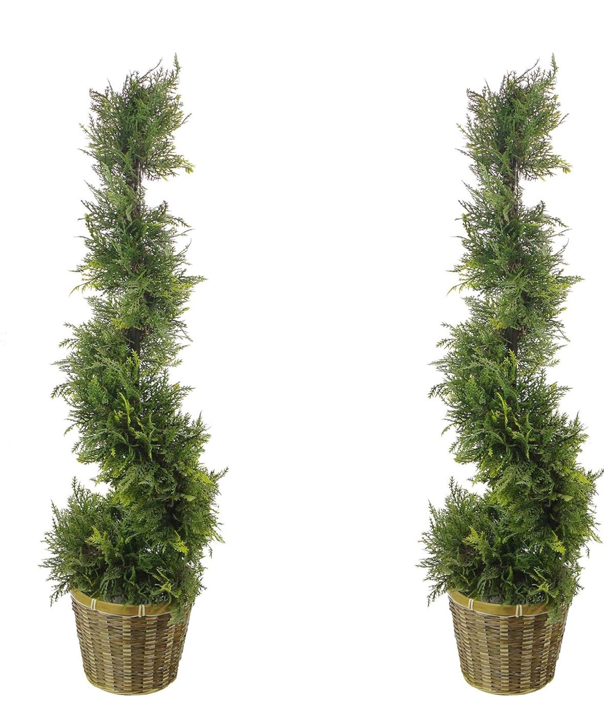 Set of 2. Admired By Nature 36 Inch Artificial Cypress Plants Spiral Shape Topiary Plant Tree W Planters, for Home Décor, Front Porch Indoor Outdoor,