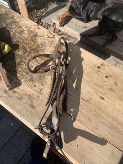 Vintage horse headset