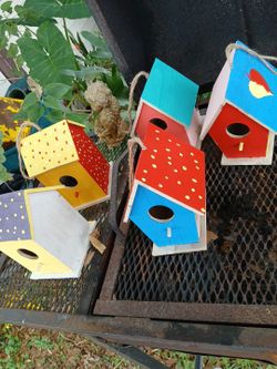 Custom Bird Houses 