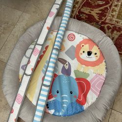 Baby Animal Mat