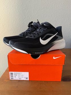 Nike Pegasus 42 Running Shies (men’s 10.5)