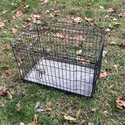 Kennel