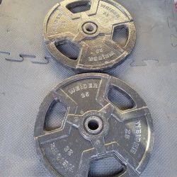 25lbs Weights 