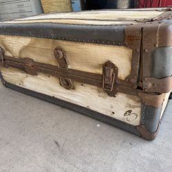 Old Trunk 
