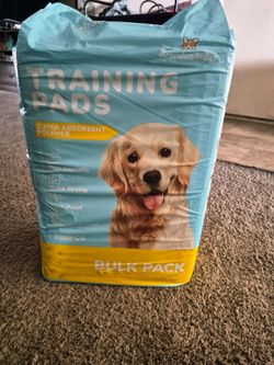 100 count puppy pads 34x28