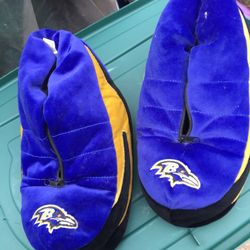 Lnew Large raven slippers only $20