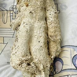 Live Rock For Saltwater Aquarium 