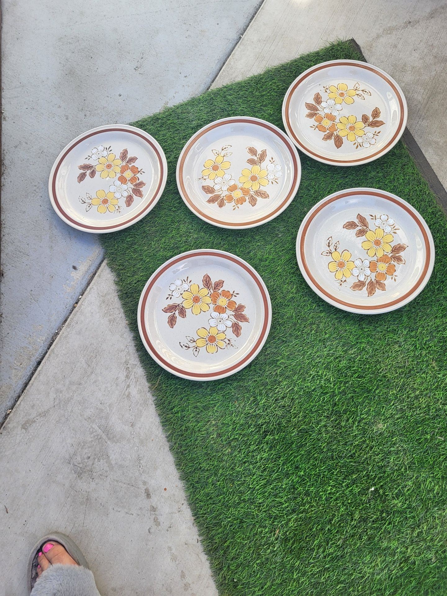 5 piece Dinner Ware Set