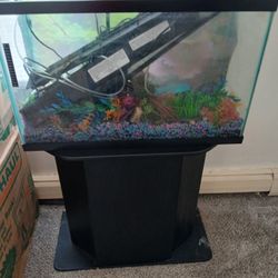 29 Gallon̈ Fish Tank With Stand