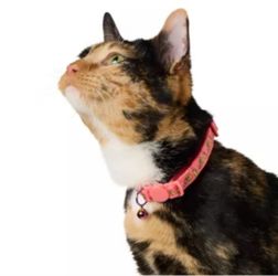 Whisker City Exclusive Pink Cheese Print Easy Release Adult Cat Collar