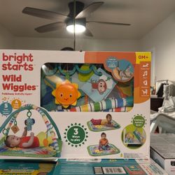 Baby Newborn Toy